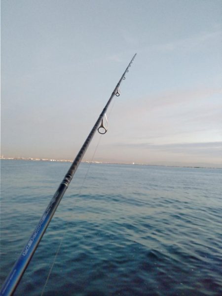 青物は何処へ、終了？