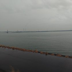 まだまだマゴチ♪