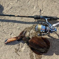 30分エギング！まだおった(・x・*)