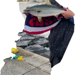 アーバンサイドフィッシュ