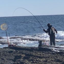 和歌山市江（吉丸渡船）で磯フカセ