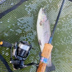 エリアトラウト　亀岡市