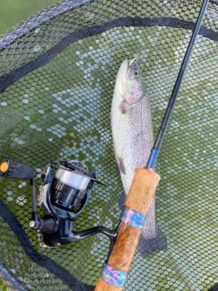 エリアトラウト　亀岡市