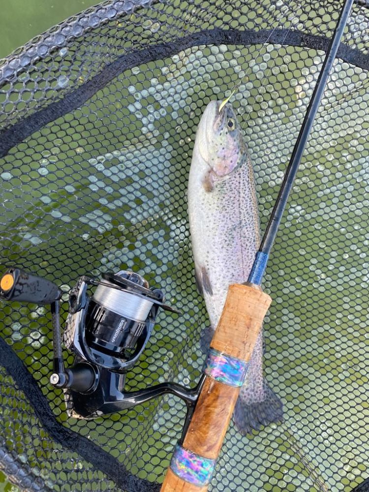 エリアトラウト　亀岡市