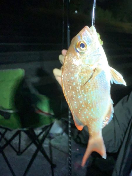 貝塚水路　渋々