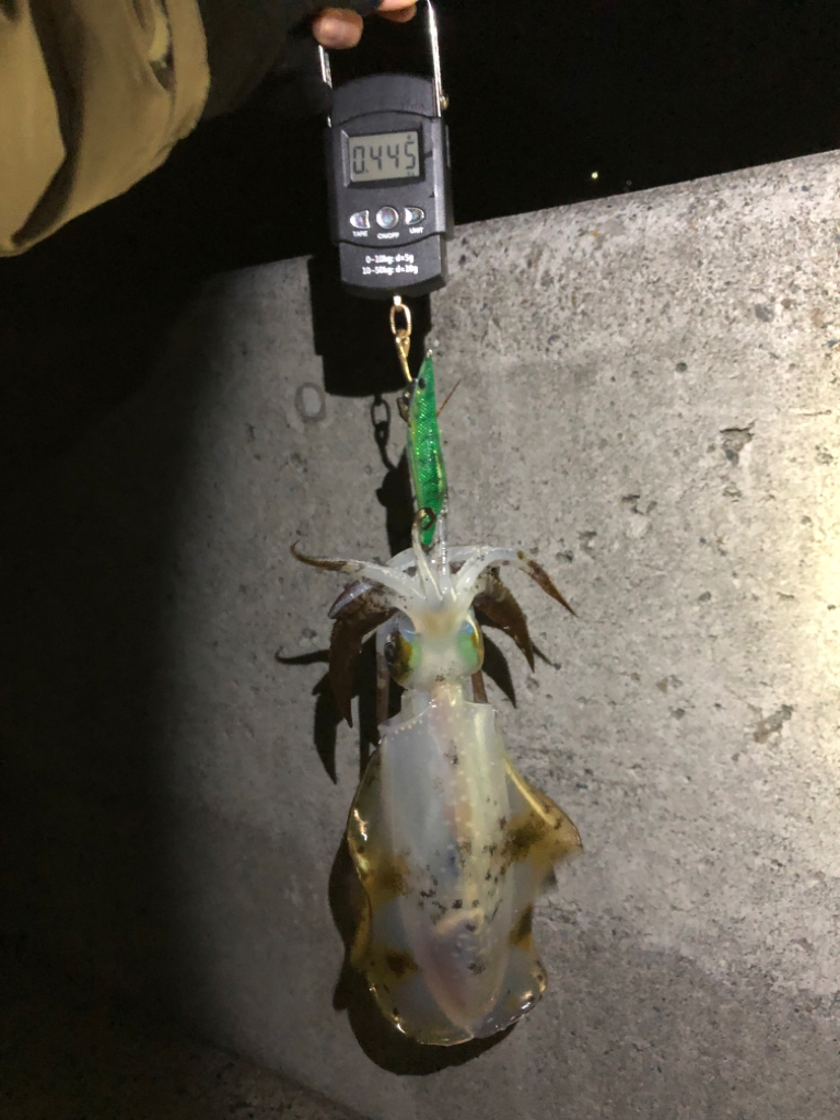 【伊根〜京丹後】川の流れのように