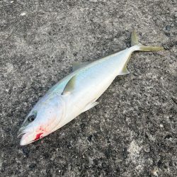 アタリ日の失敗