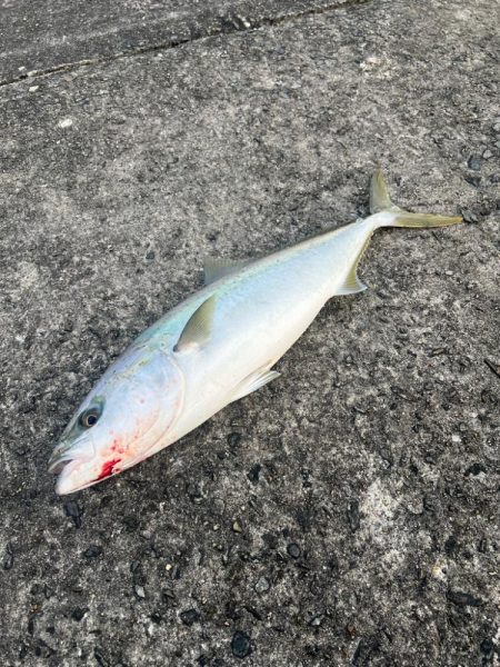 アタリ日の失敗