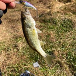 北湖も秋モード