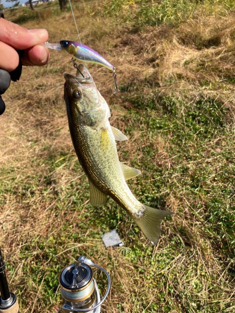 北湖も秋モード