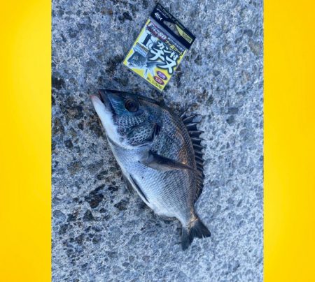 干潮の時刻に近くスタート