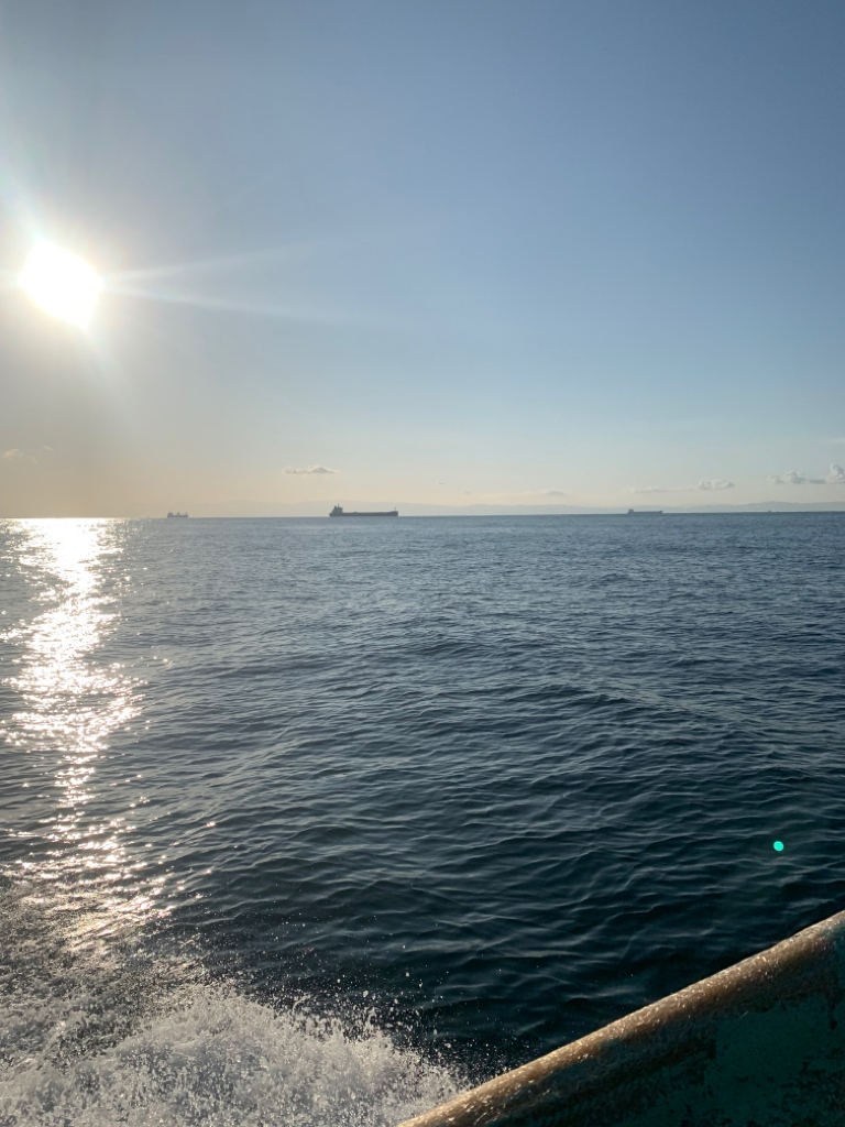 青物不発 後 タチウオ