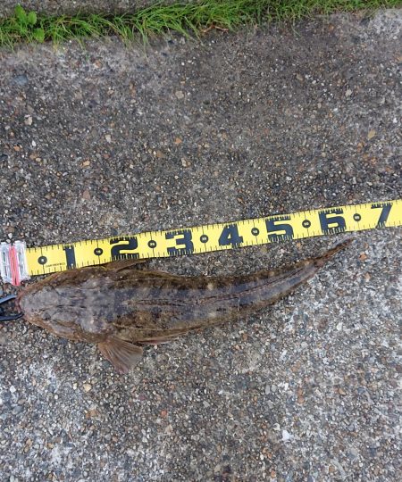 続・フラット狙いで