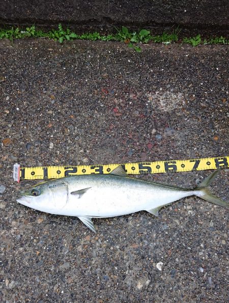 苦労した釣りの結末は…