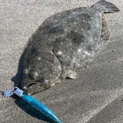 渋いときはフィネスが刺さる！