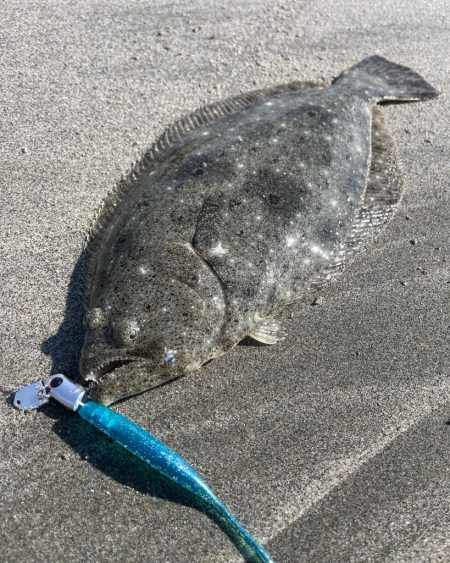 渋いときはフィネスが刺さる！