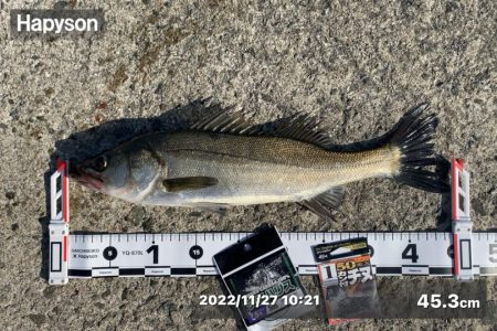 右手からの風が強く吹き