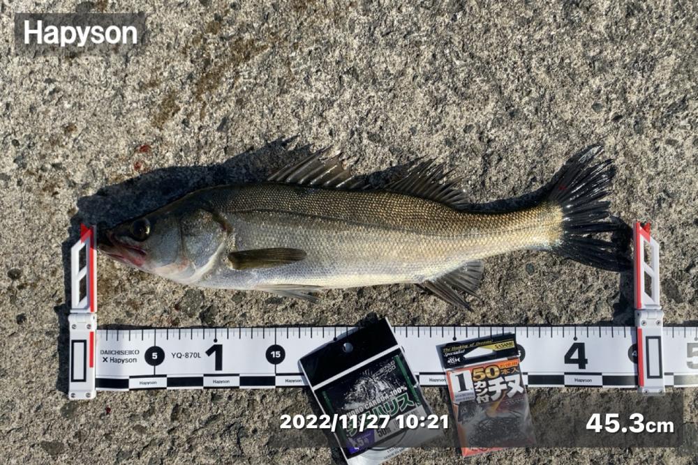 右手からの風が強く吹き