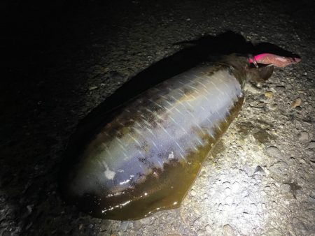 ３杯目のキロアップ