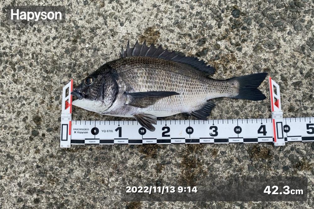 雨が降る前まで