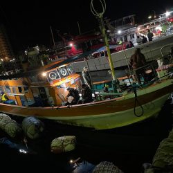 明石海峡　タチウオ好調