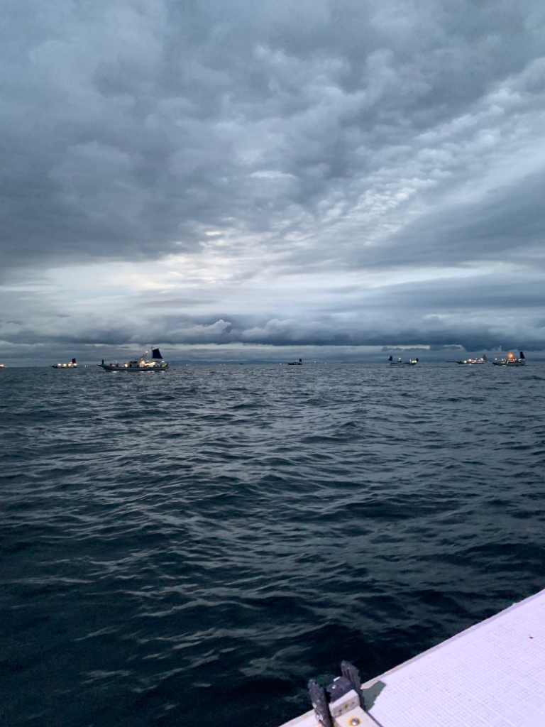 今期最悪の釣果⤵︎