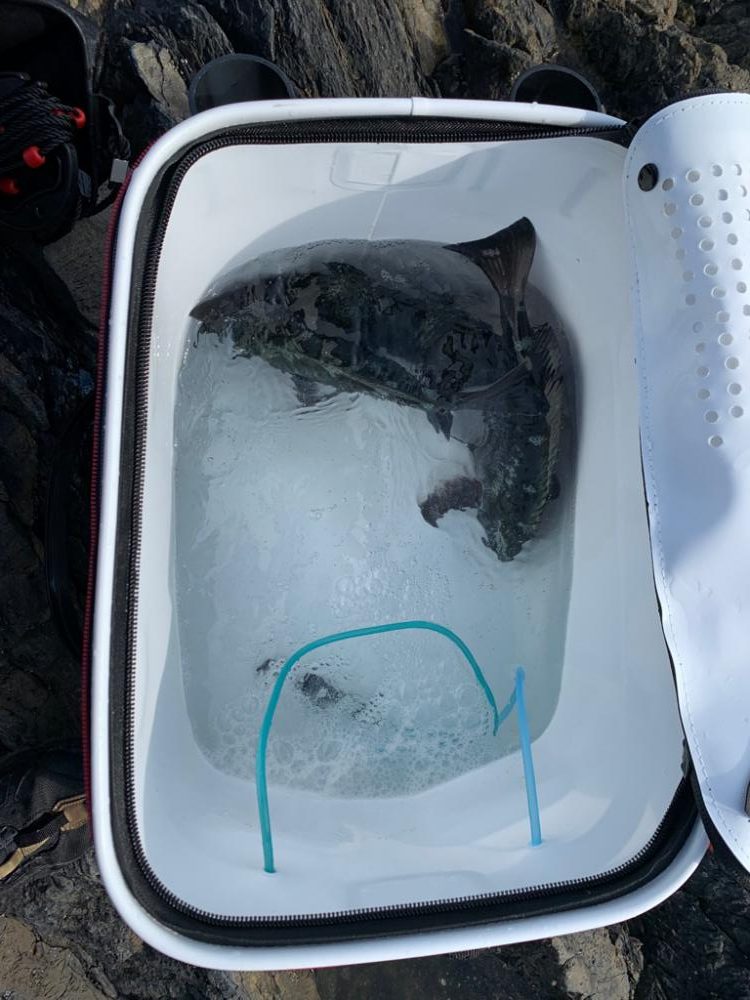 サンラインファンカップ米水津