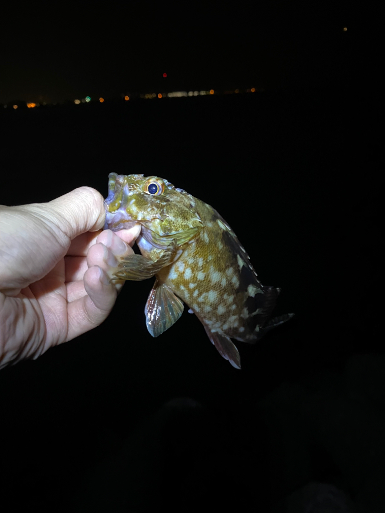 初エビ撒き　たのし！