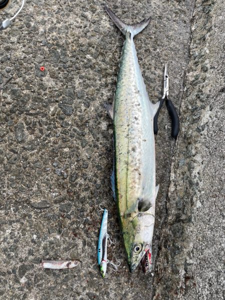 ショアジギ2時間