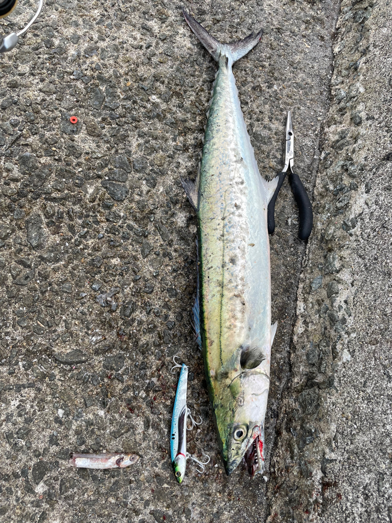 ショアジギ2時間