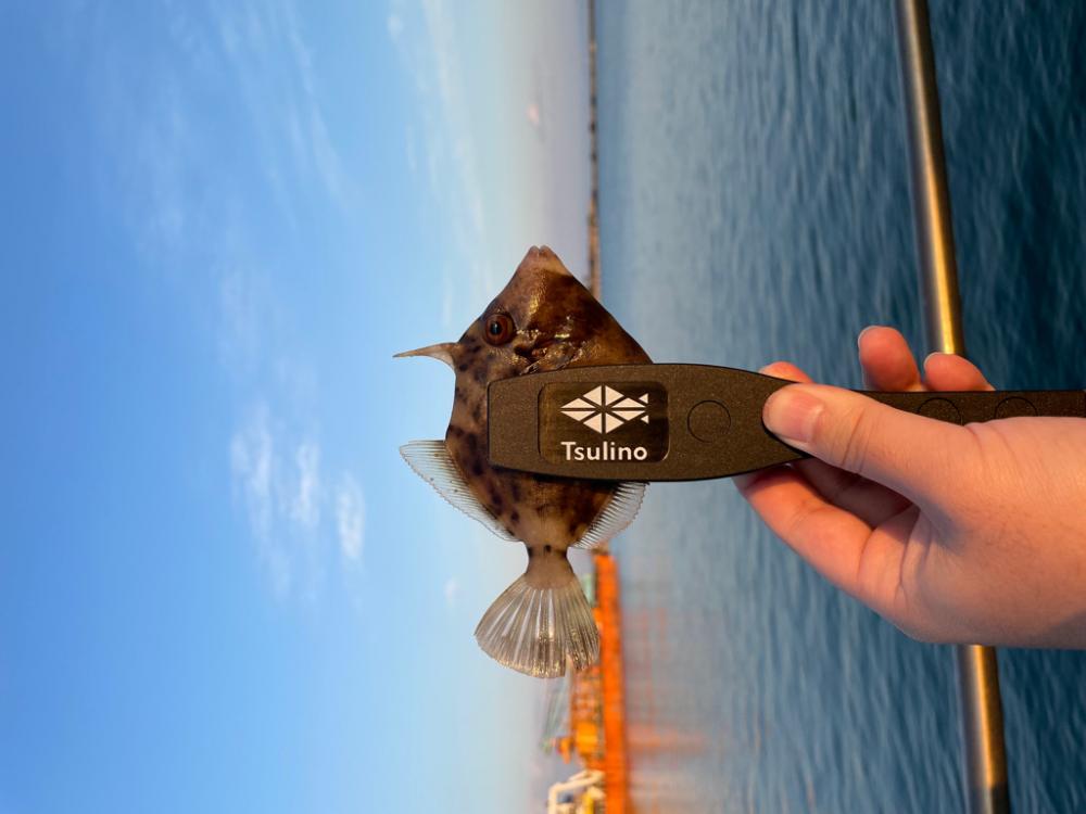 家族と釣り