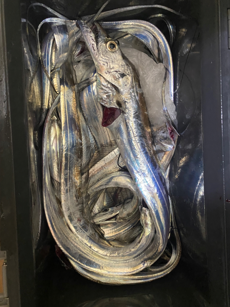 波にやられました。