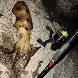 やっぱり有田！