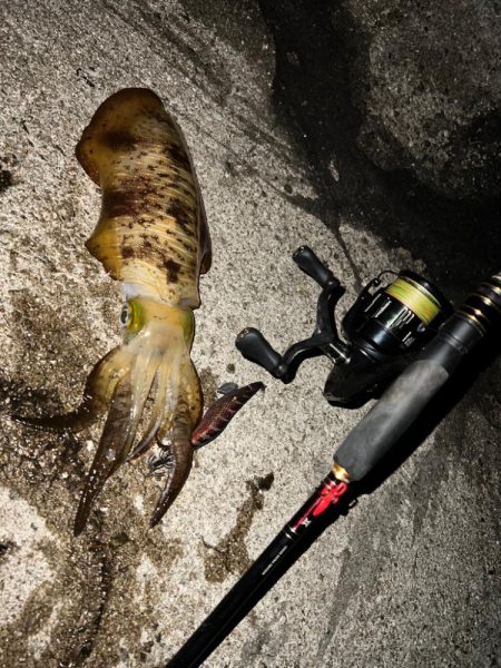 やっぱり有田！