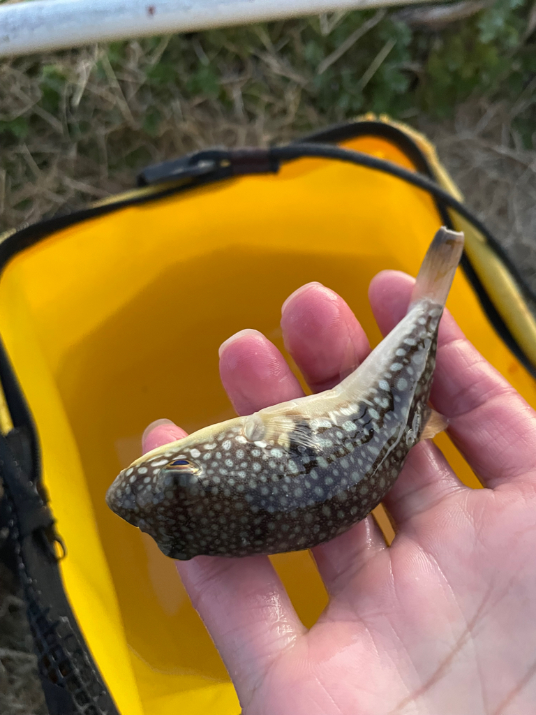 ２転び３起きトレーニング