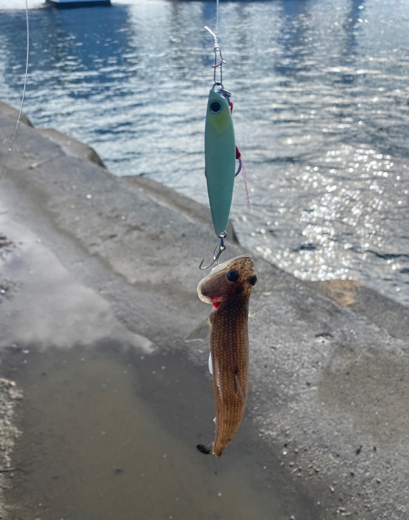 雨降り後はダメ
