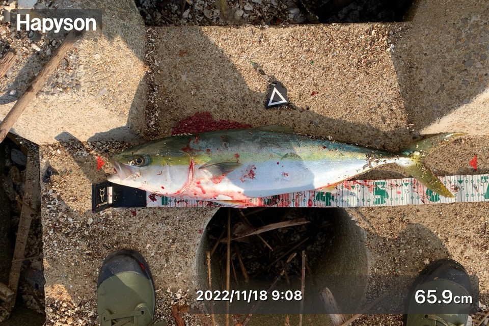 今日も有給釣行