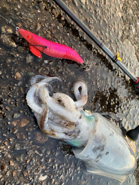 選ばれしカラーはマジシャンズレッド！