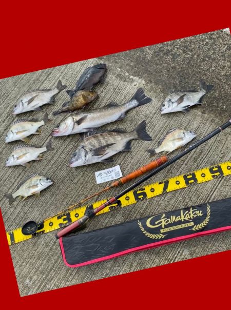 釣りスタートから長くアタリ無く不安な展開