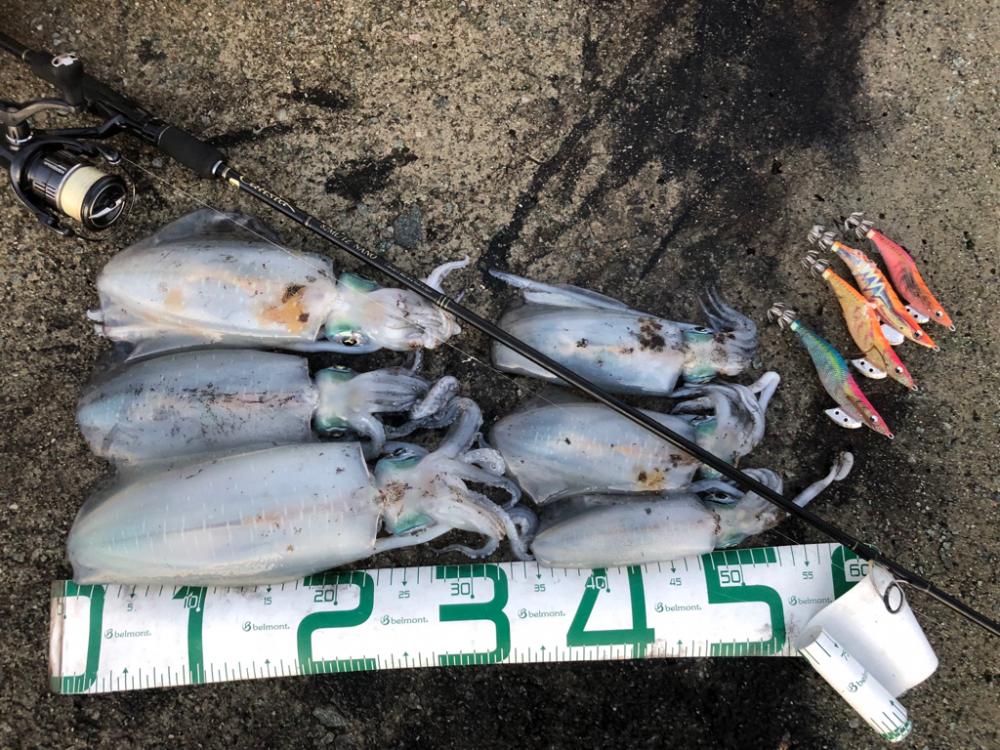 2022 佐渡ヶ島エギング 45回目【11月8日】