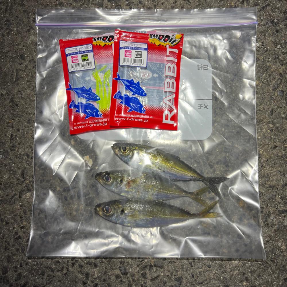 鯵を探して三千里Ver.6