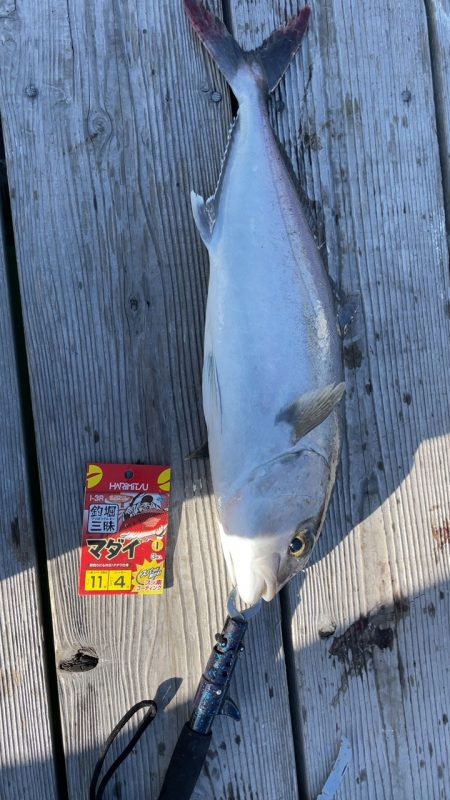 家島の釣り堀海恵