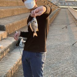 浜寺水路でハゼ、チヌ