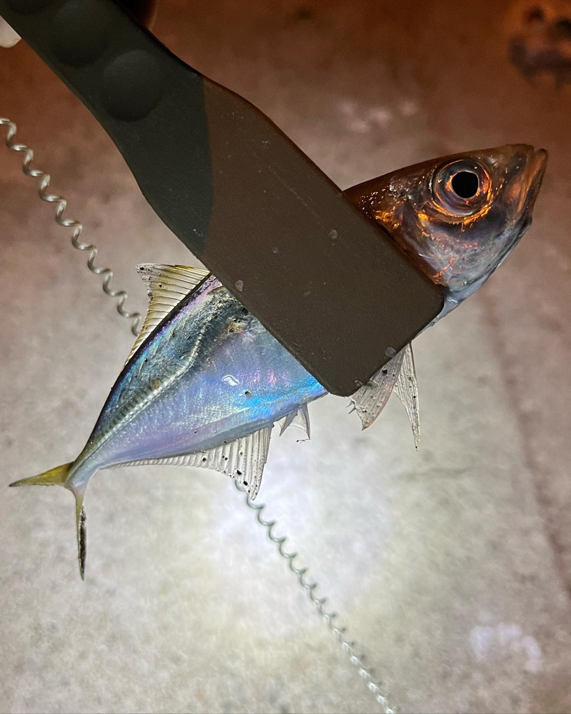 いつもの場所で♪