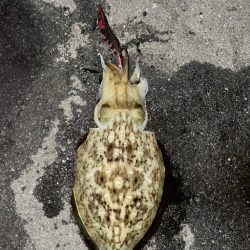 キロアップ目指して！