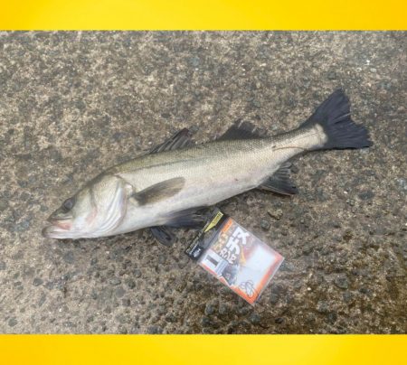 少しずつ雨が降り