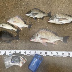 良い型を目指して