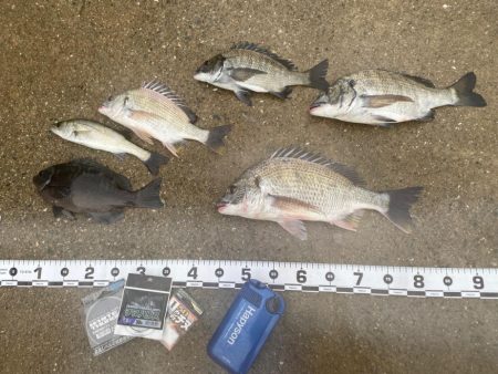 良い型を目指して