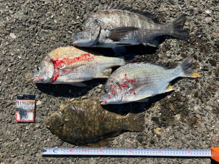 カレイ狙いPart1