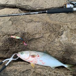 久しぶりロックショアで反省